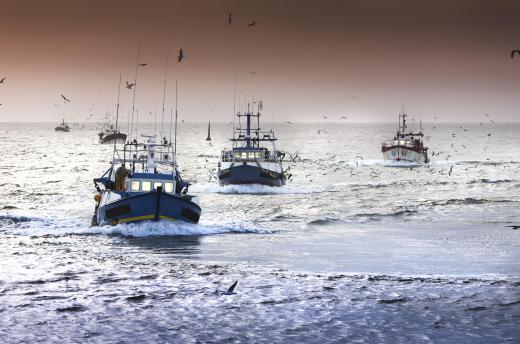 Commercial fishing boats are used for deep sea fishing excursions.