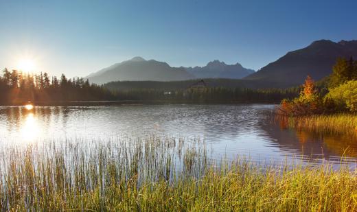 Some divers enjoy diving in lakes.