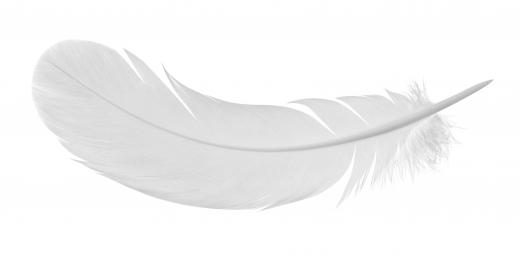 Lures can be made with feathers.