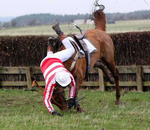 Steeplechase horse racing may be considered a dangerous sport to some people.