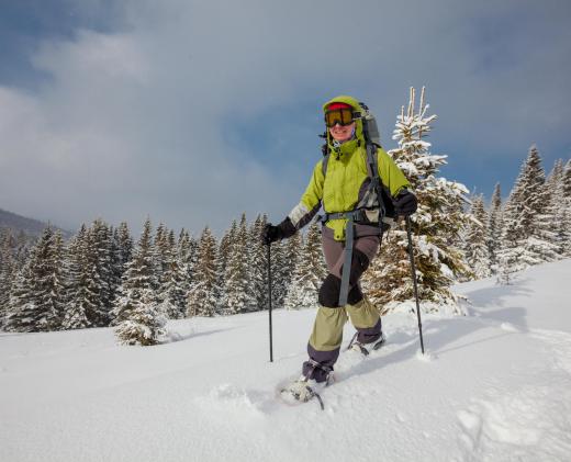 Some skiers make extended backcountry treks, stopping along the way at warming huts.