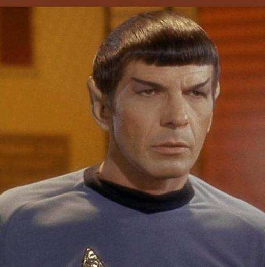 Fandoms may focus on a particular character or icon.