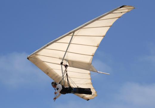 Hang gliders don't have engines, and instead use gravity to stay in flight.