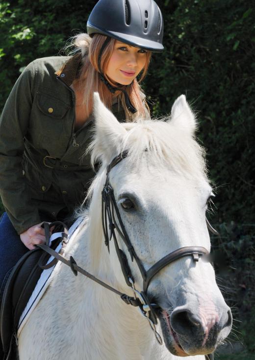 Stirrups support the feet of horseback riders.