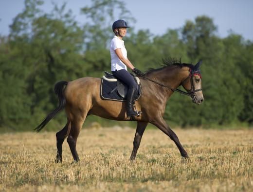 Riding boots are designed so that they won't slip through or catch on the stirrup.