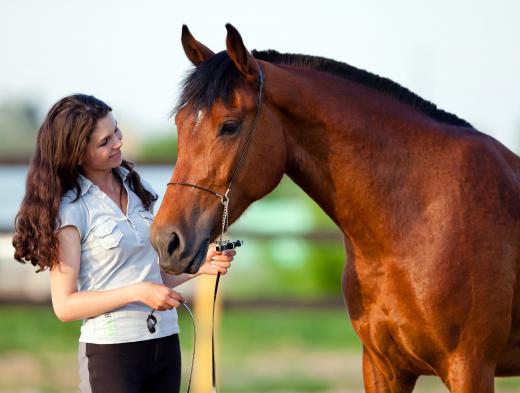 Some riders like to practice equestrian vaulting recreationally, both because they find it enjoyable and because they believe that it is a good training regimen for rider and horse.