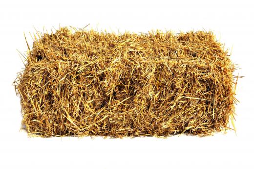 Hay should be inspected before being fed to your horse.