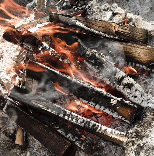 Canvas folding benches make good campfire seating.