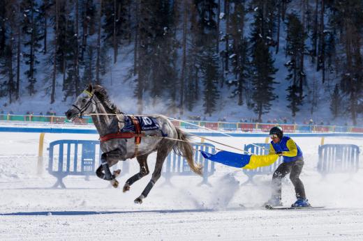 Competitive Skijoring with horses can be dangerous if not practiced with extreme caution.