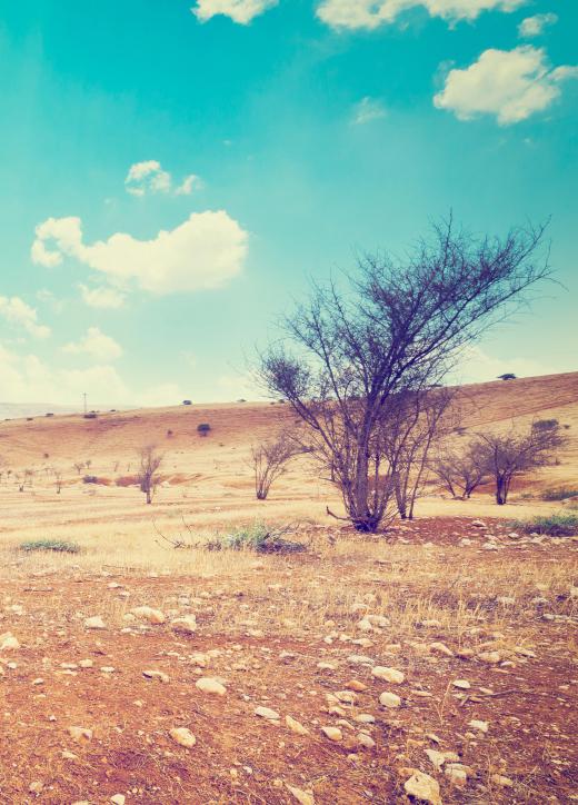 Goggles are used in the desert to protect people's eyes from sand.