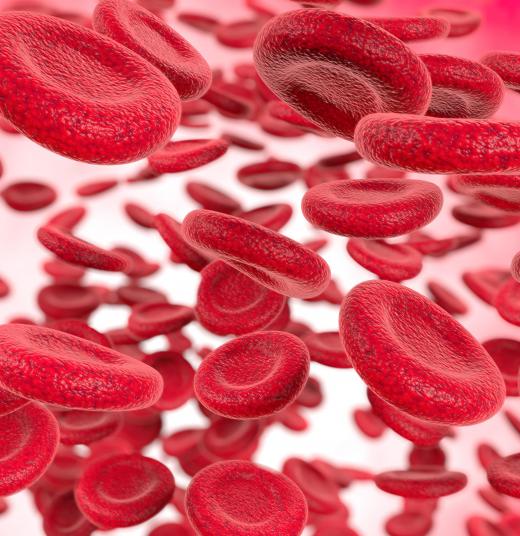 Red blood cells carry oxygen through the body which has been linked to better athletic performance.