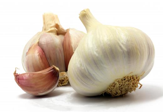 Garlic is considered ineffective as a natural horse wormer.