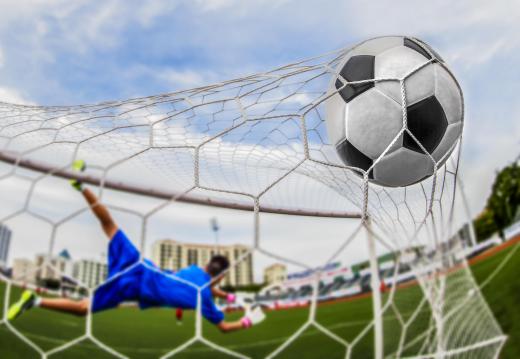 Soccer nets are common types of backyard nets.