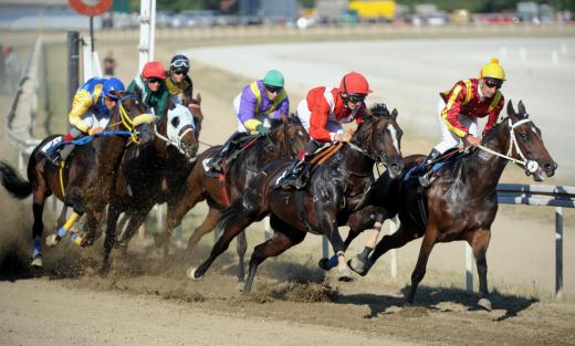 Bookies often work from various racecourses, including horse racing tracks.