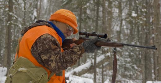 Hunters use goose decoys to help trap the prey.