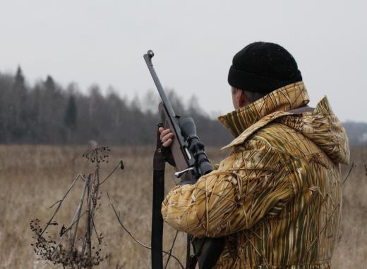 A hunter should usually raise the volume of calls when geese are landing.