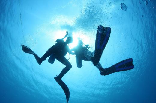 Flippers are used to propel divers through water.