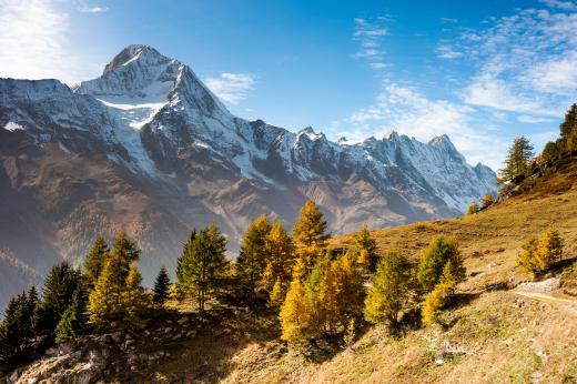 A mountain bike trail leading towards a mountain range.