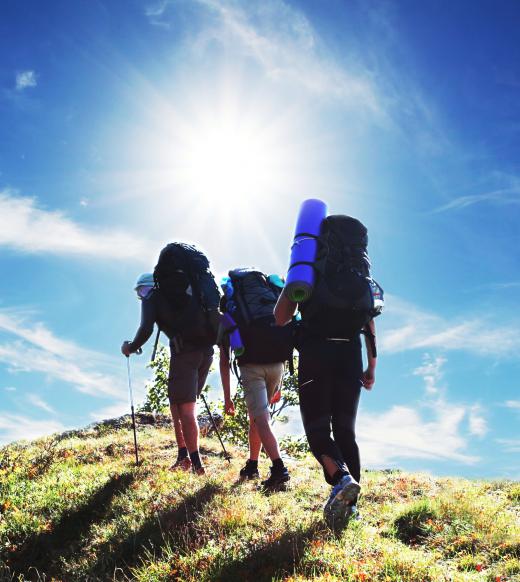 A group of hikers summiting a mountain.